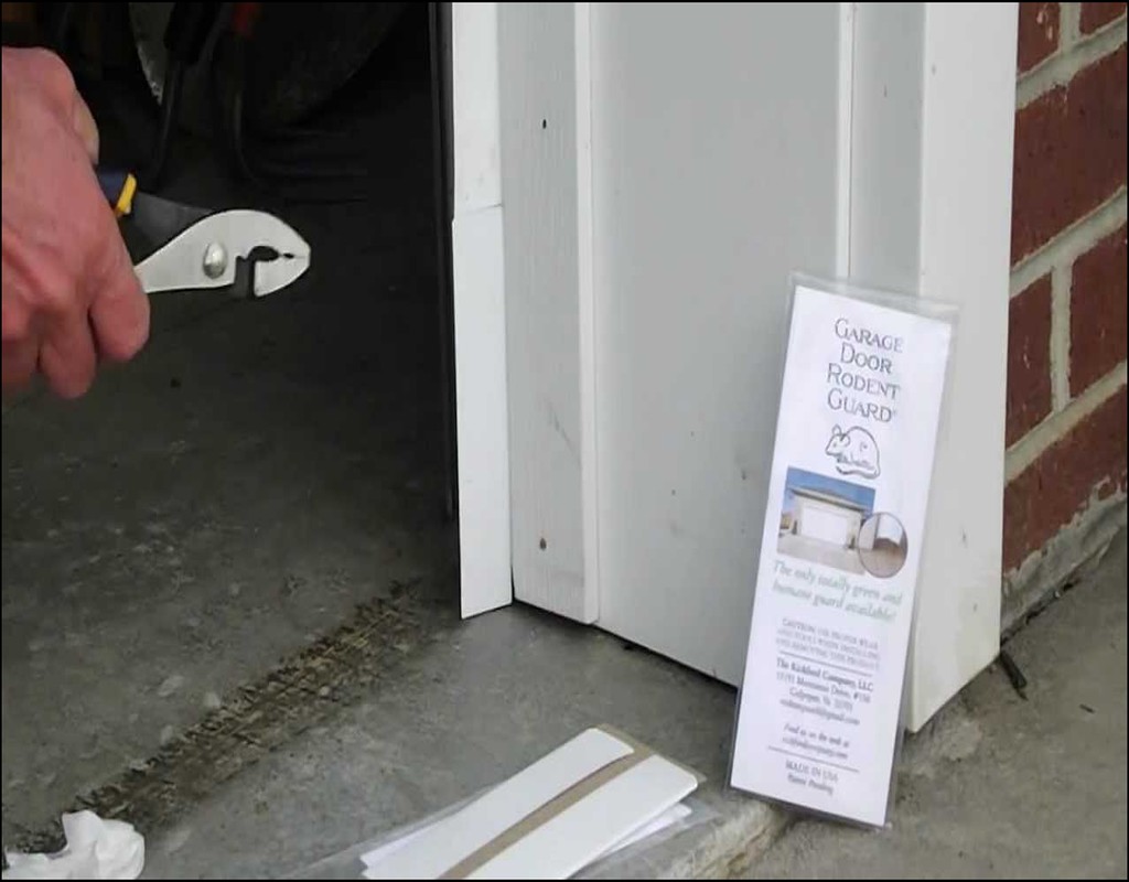 keep-mice-out-of-garage Keep Mice Out Of Garage